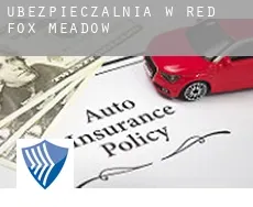 Ubezpieczalnia w  Red Fox Meadow