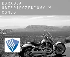 Doradca ubezpieczeniowy w Conco