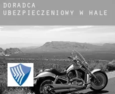 Doradca ubezpieczeniowy w  Hale