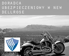 Doradca ubezpieczeniowy w  New Dellrose