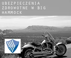 Ubezpieczenia zdrowotne w  Big Hammock