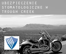 Ubezpieczenie stomatologiczne w Trough Creek