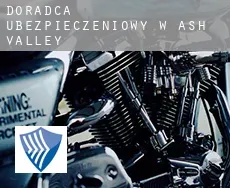 Doradca ubezpieczeniowy w  Ash Valley