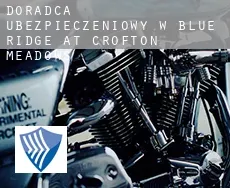 Doradca ubezpieczeniowy w  Blue Ridge at Crofton Meadows