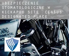 Ubezpieczenie stomatologiczne w  Kickapoo Site 5