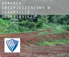 Doradca ubezpieczeniowy w  Césarville-Dossainville