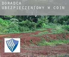 Doradca ubezpieczeniowy w  Coin