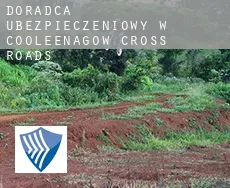 Doradca ubezpieczeniowy w  Cooleenagow Cross Roads