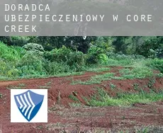 Doradca ubezpieczeniowy w  Core Creek