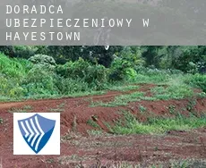 Doradca ubezpieczeniowy w  Hayestown