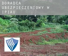 Doradca ubezpieczeniowy w  Ipiaú
