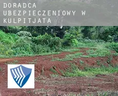 Doradca ubezpieczeniowy w  Kulpitjata