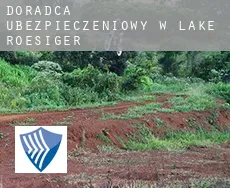 Doradca ubezpieczeniowy w  Lake Roesiger