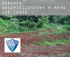 Doradca ubezpieczeniowy w  Mers-sur-Indre
