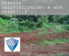 Doradca ubezpieczeniowy w  New Woodville