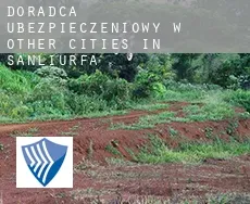 Doradca ubezpieczeniowy w  Other cities in Sanliurfa