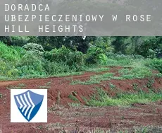 Doradca ubezpieczeniowy w Rose Hill Heights
