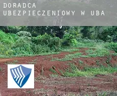 Doradca ubezpieczeniowy w  Ubá