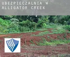 Ubezpieczalnia w  Alligator Creek