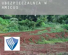 Ubezpieczalnia w  Amicus