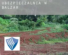 Ubezpieczalnia w  Balzar