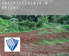 Ubezpieczalnia w  Bright