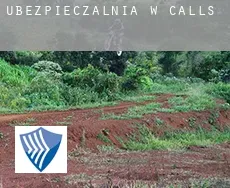 Ubezpieczalnia w  Calls