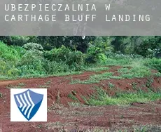 Ubezpieczalnia w  Carthage Bluff Landing