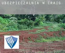 Ubezpieczalnia w  Craig
