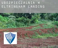 Ubezpieczalnia w  Eltringham Landing