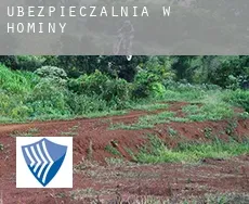 Ubezpieczalnia w  Hominy