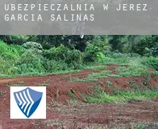 Ubezpieczalnia w  Jerez de García Salinas