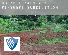 Ubezpieczalnia w  Kinswept Subdivision