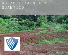 Ubezpieczalnia w  Quantico