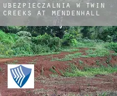 Ubezpieczalnia w  Twin Creeks at Mendenhall