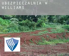 Ubezpieczalnia w  Williams