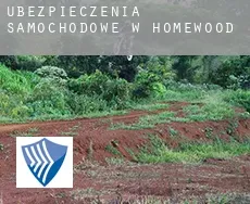 Ubezpieczenia samochodowe w  Homewood