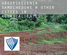 Ubezpieczenia samochodowe w  Other cities in Aguascalientes