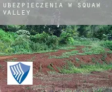 Ubezpieczenia w  Squaw Valley