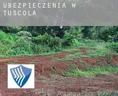 Ubezpieczenia w Tuscola