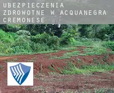 Ubezpieczenia zdrowotne w Acquanegra Cremonese