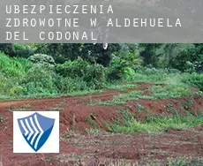 Ubezpieczenia zdrowotne w  Aldehuela del Codonal
