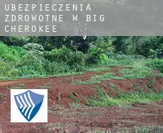 Ubezpieczenia zdrowotne w  Big Cherokee