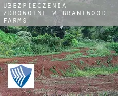 Ubezpieczenia zdrowotne w Brantwood Farms