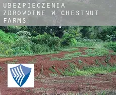 Ubezpieczenia zdrowotne w  Chestnut Farms