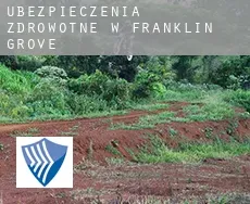 Ubezpieczenia zdrowotne w  Franklin Grove