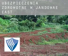 Ubezpieczenia zdrowotne w  Jandowae East