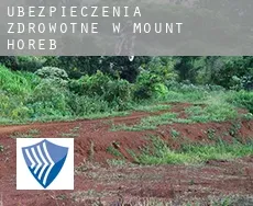 Ubezpieczenia zdrowotne w  Mount Horeb