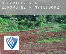 Ubezpieczenia zdrowotne w  Myślibórz