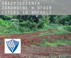 Ubezpieczenia zdrowotne w  Other cities in Kocaeli